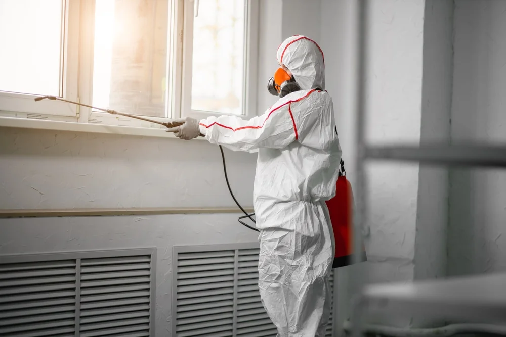 Professional mold remediation services in Strasburg, CO